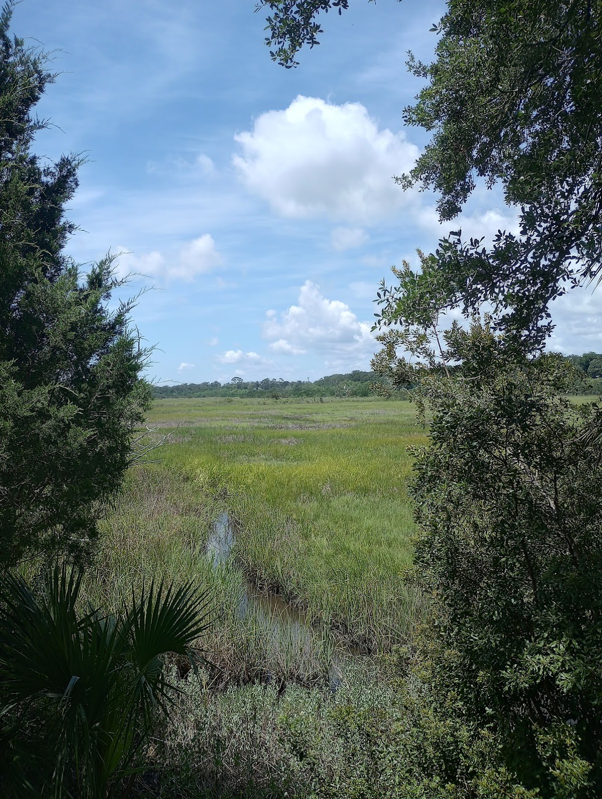 Egan's Creek Viewing Platform photo 4