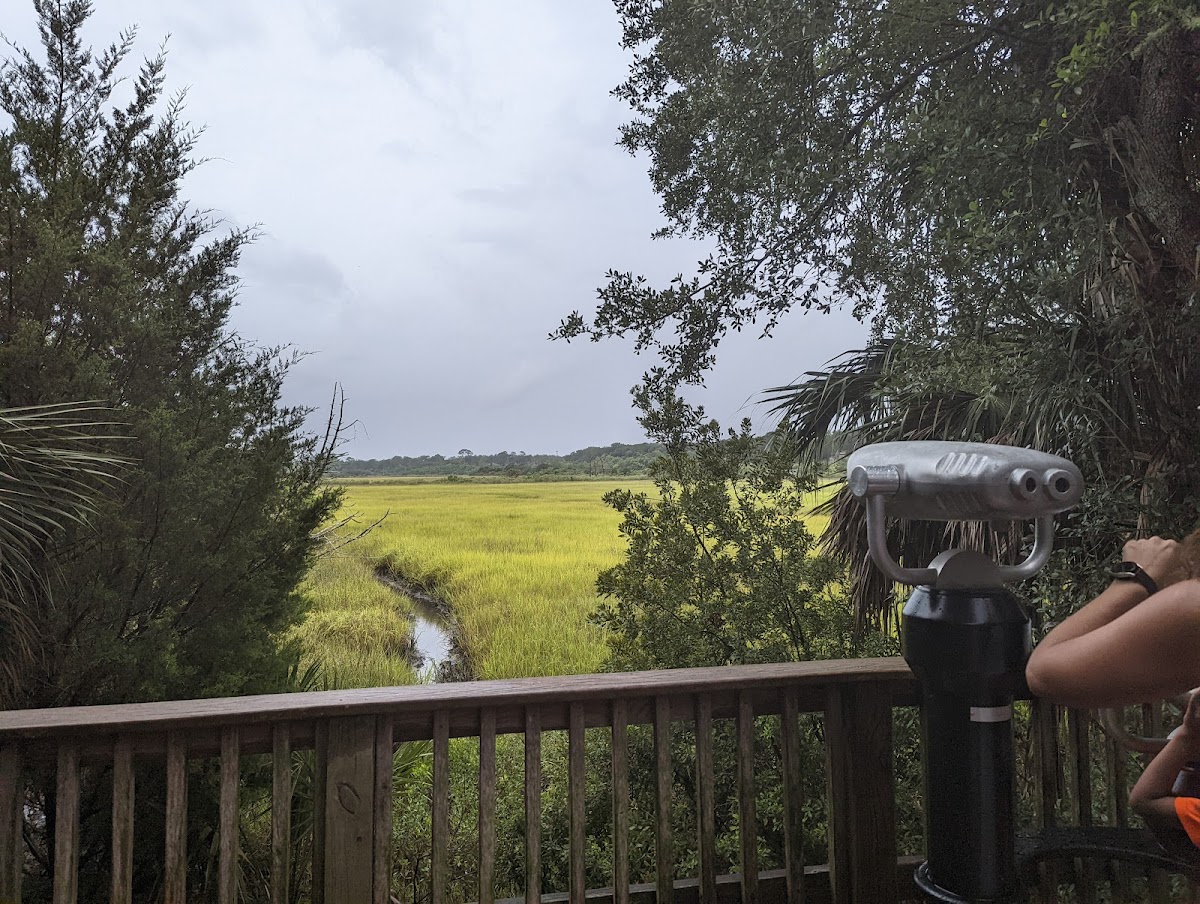 Egan's Creek Viewing Platform photo 5