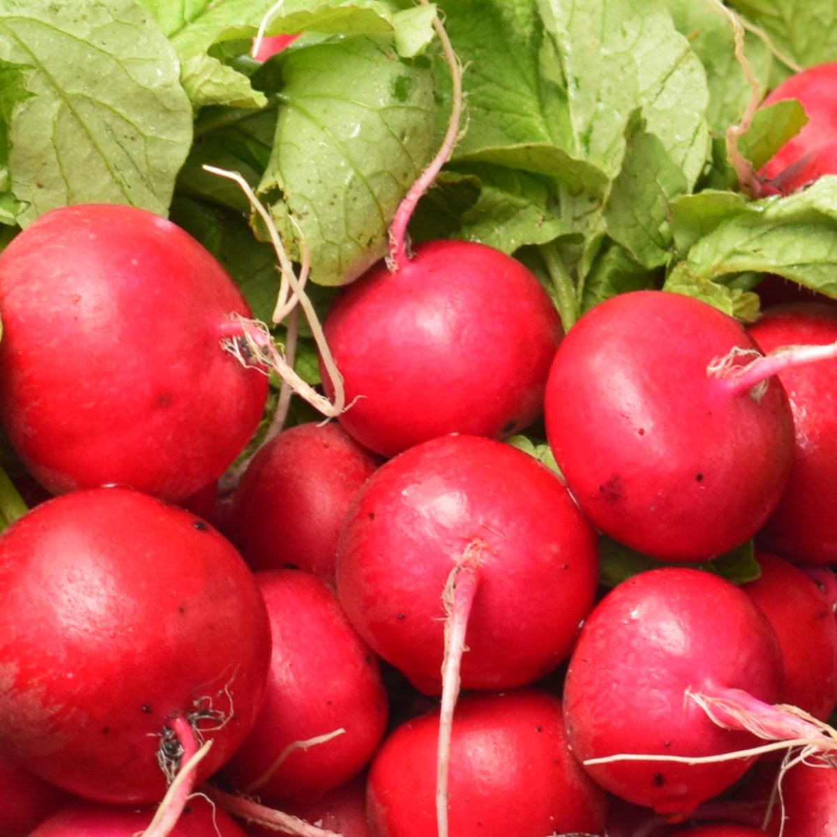 Fernandina Beach Market Place photo 2