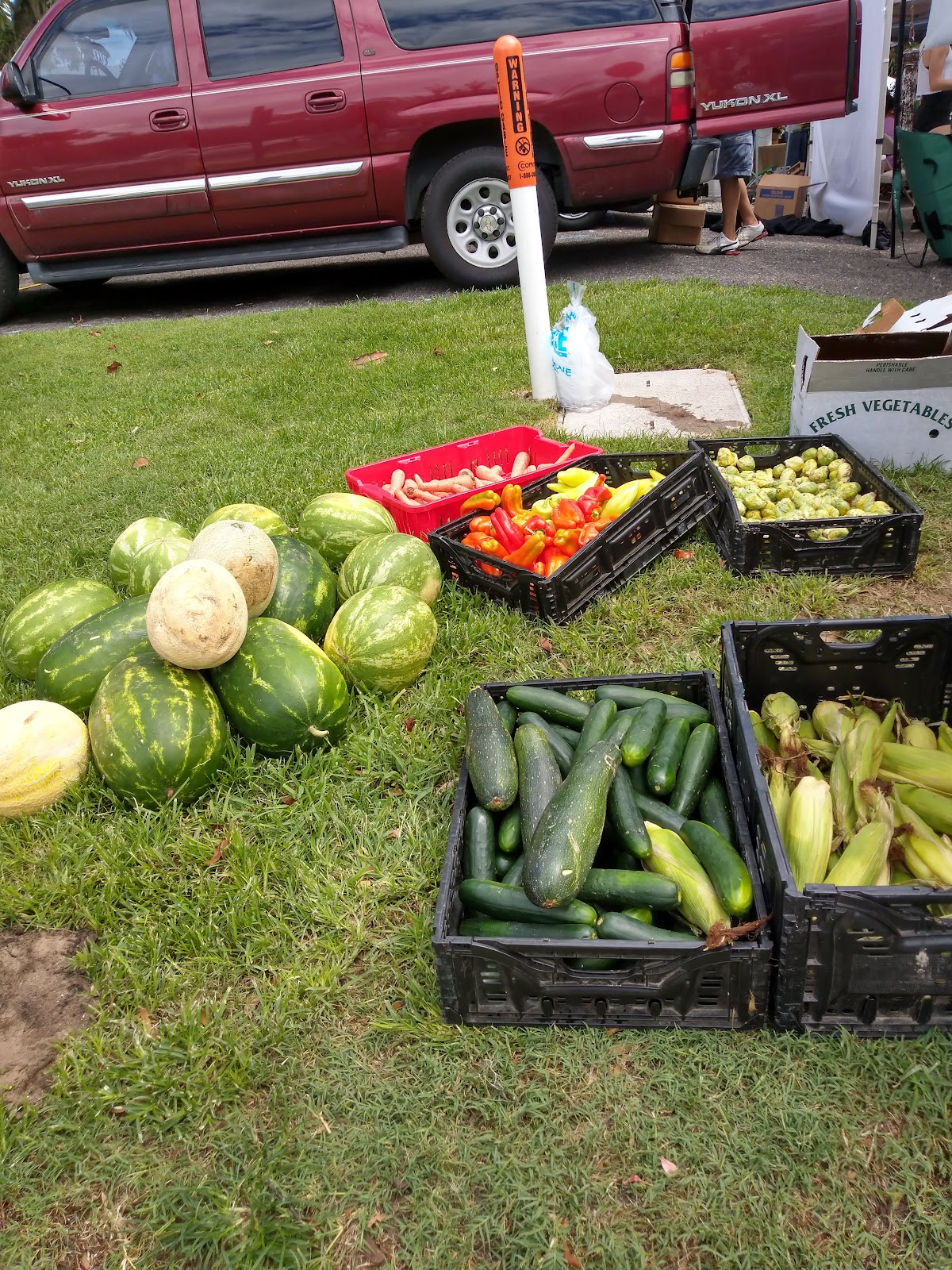 Fernandina Beach Market Place photo 7