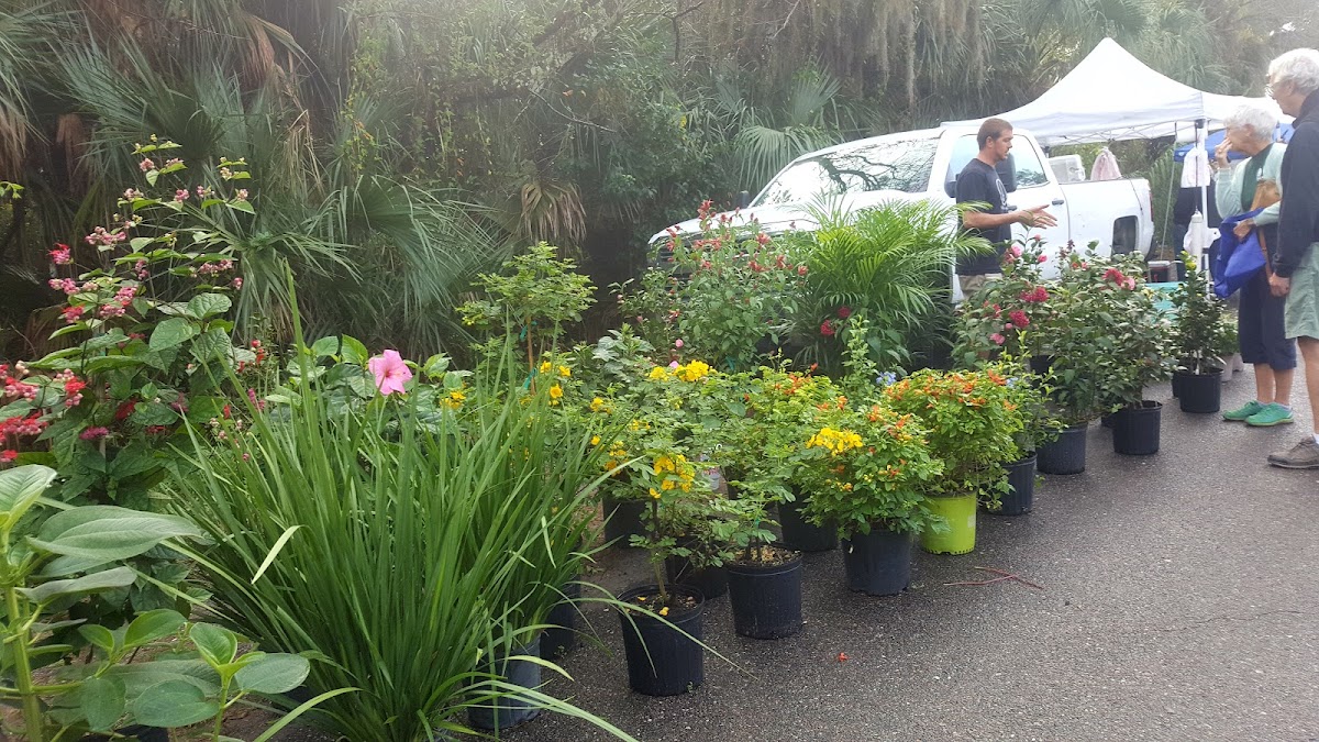 Fernandina Beach Market Place photo 8