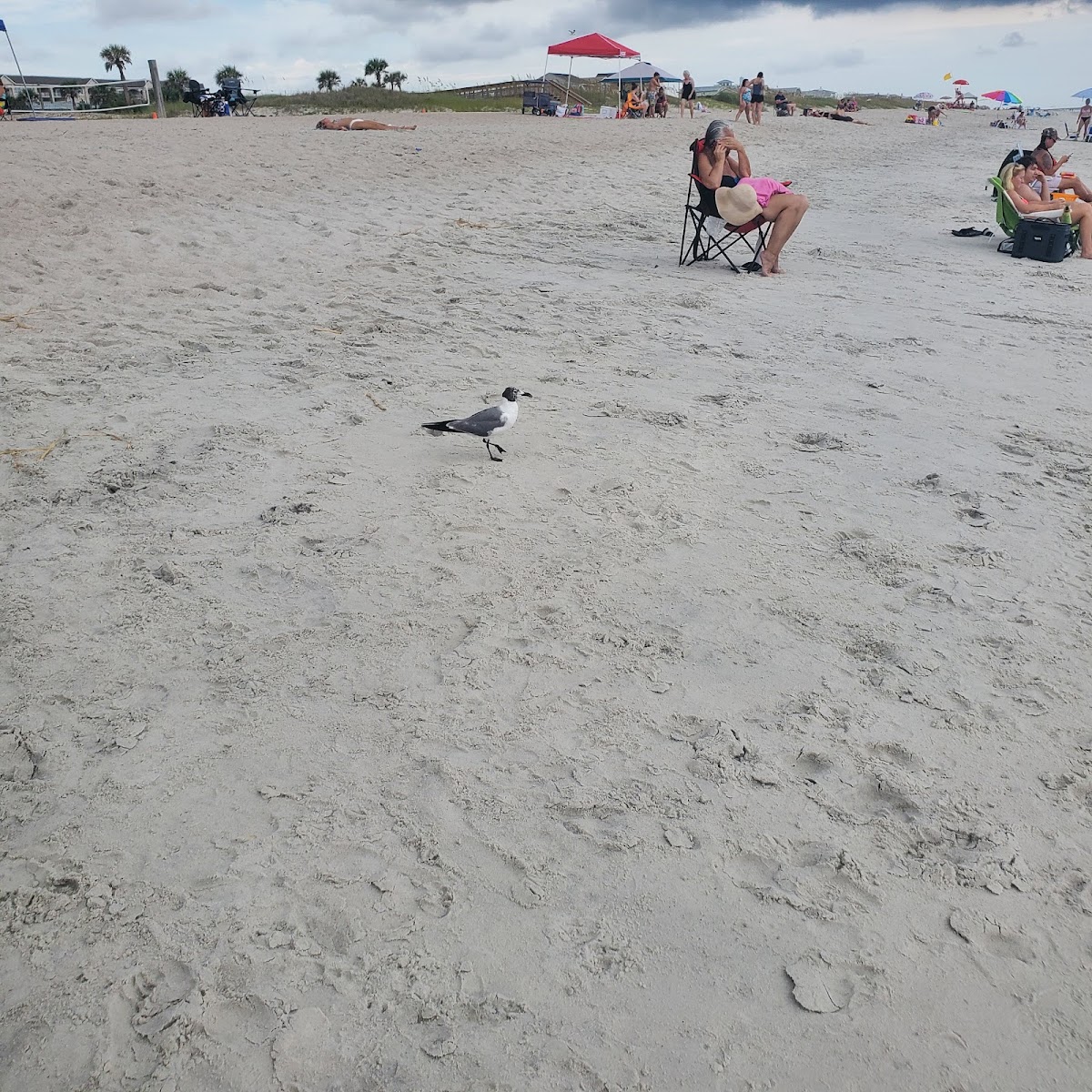 Fernandina Beach Skate Park photo 10