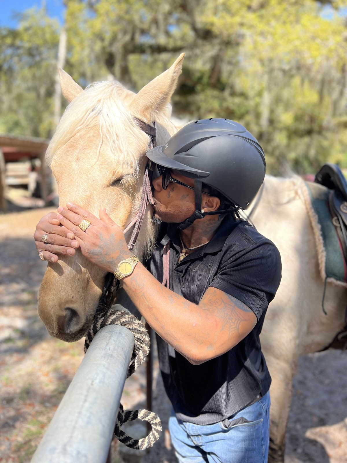 Happy Trails Walking Horses photo 2