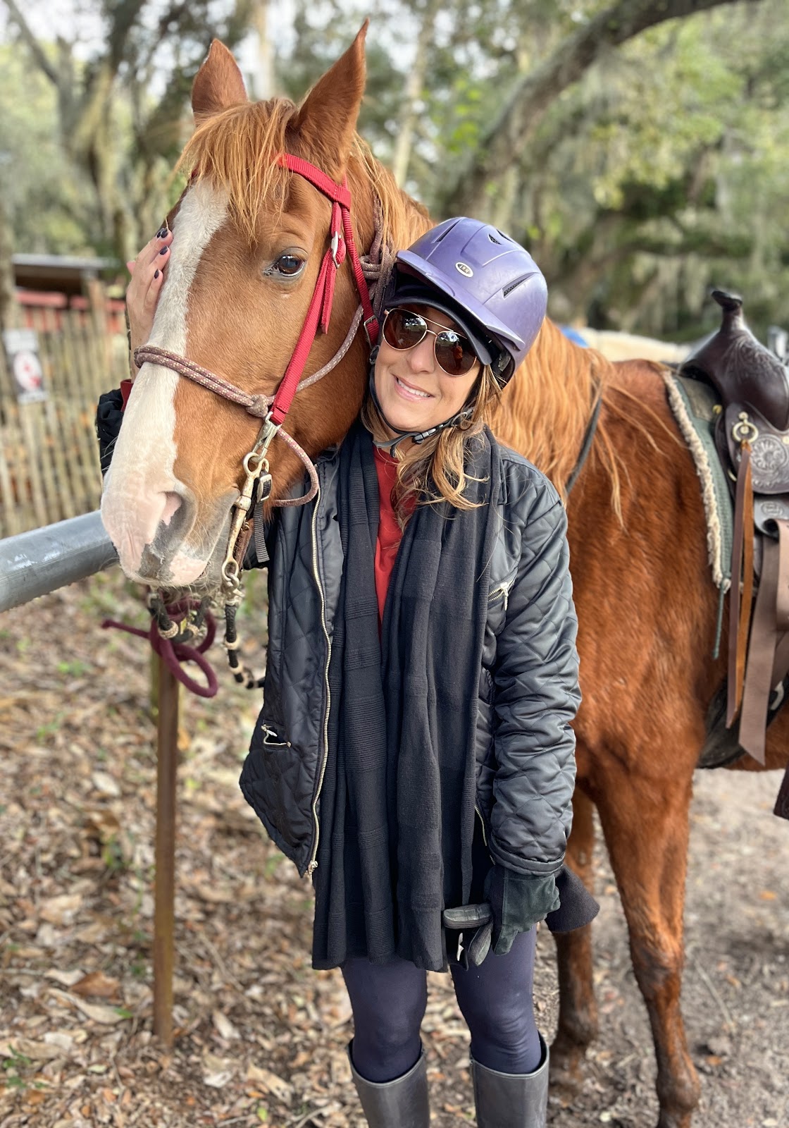 Happy Trails Walking Horses photo 3