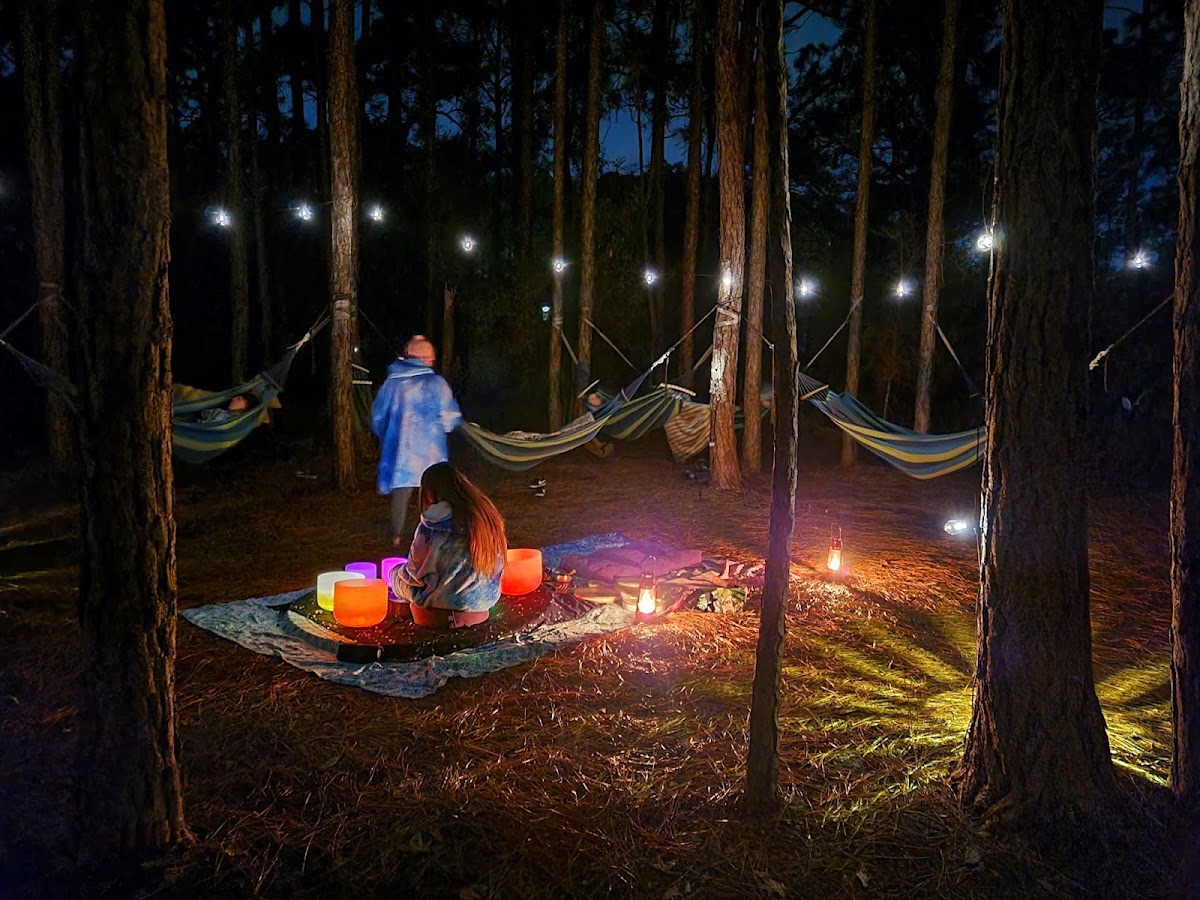 Jaybird Hammock Farm photo 2