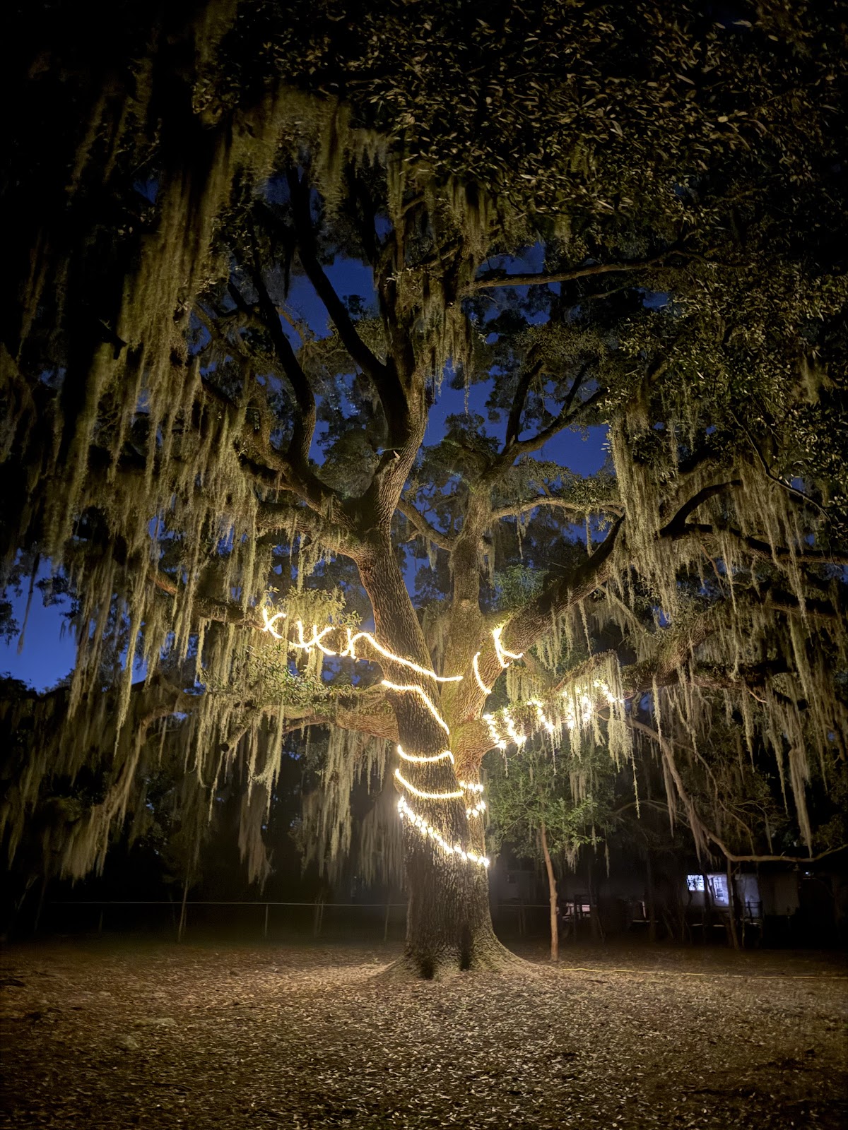 Jaybird Hammock Farm photo 7