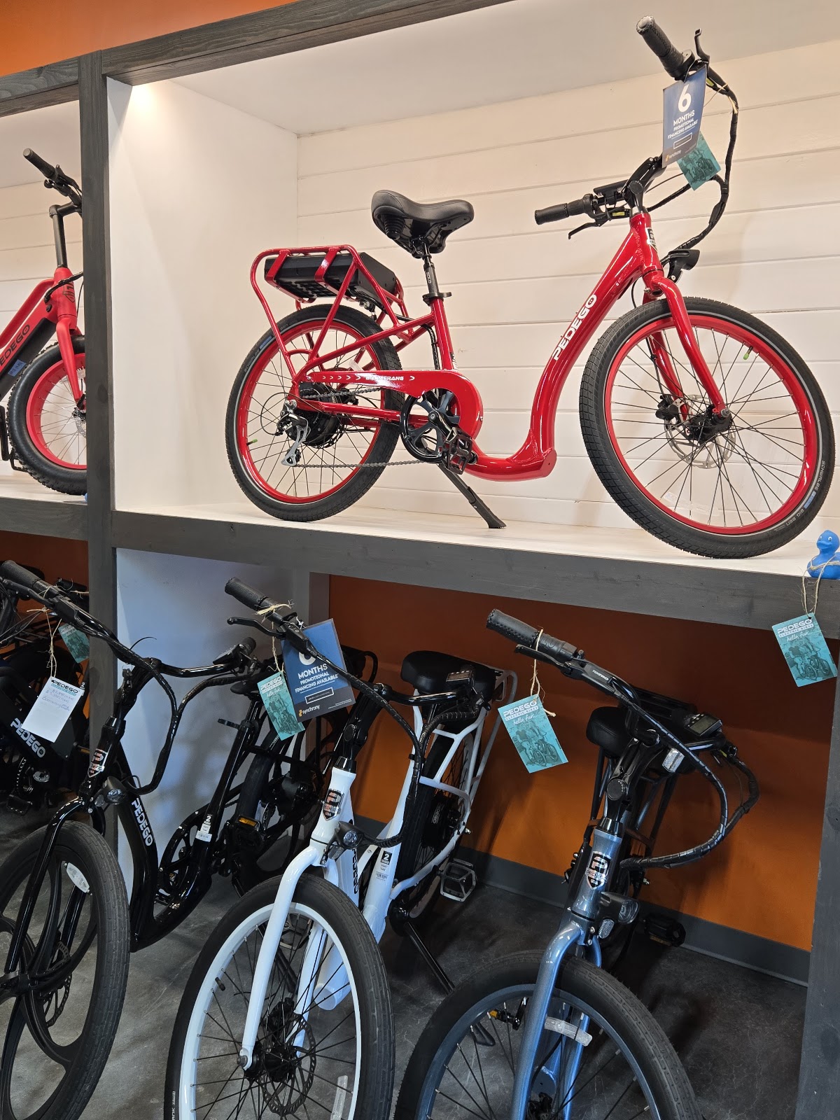 Pedego Electric Bikes Amelia Island photo 10