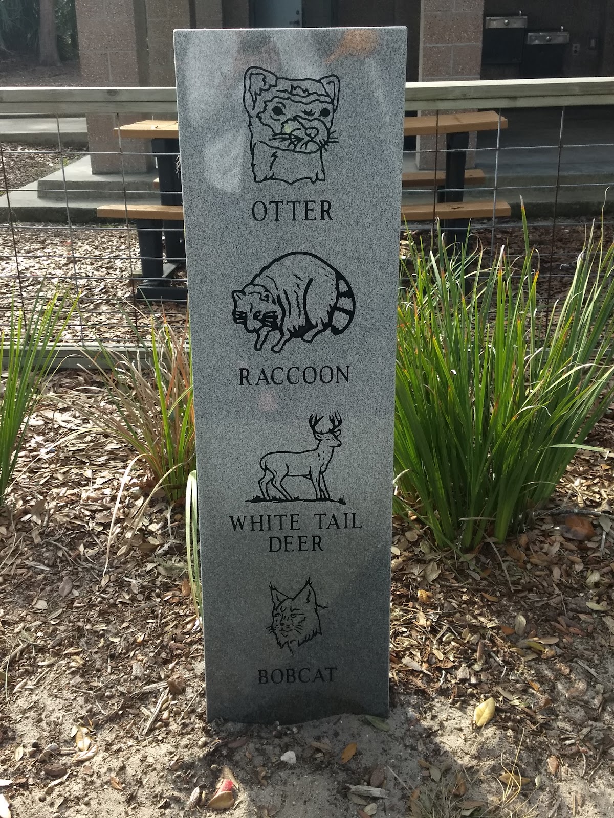 Pirate Playground photo 5