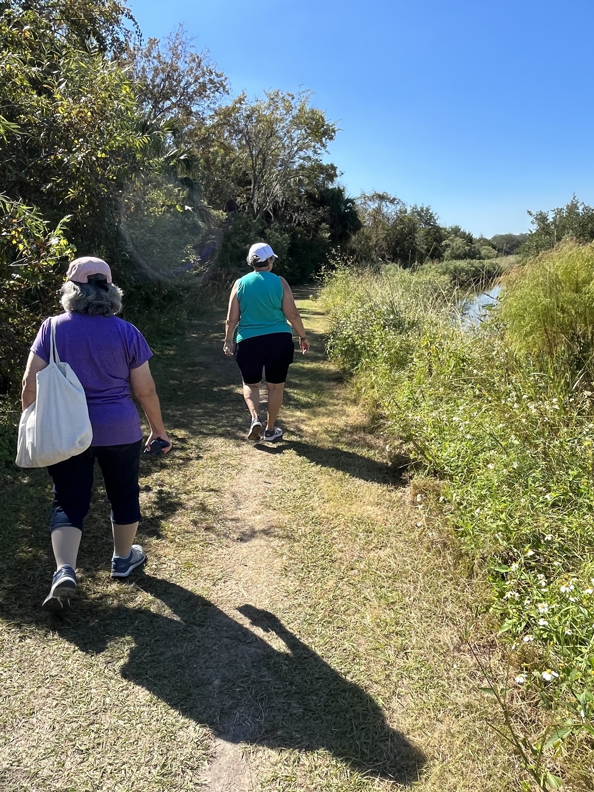 Pirate Playground photo 8