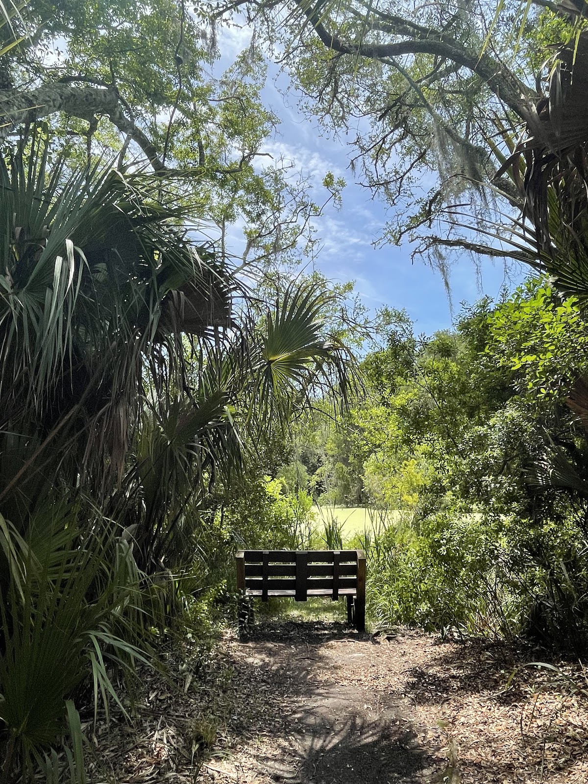 Willow Pond Nature Trail photo 2