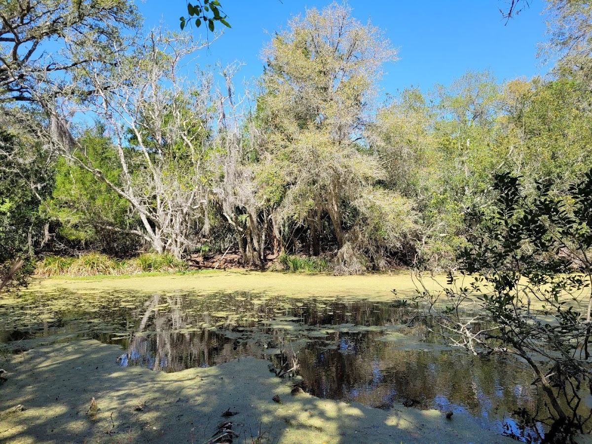 Willow Pond Nature Trail photo 6