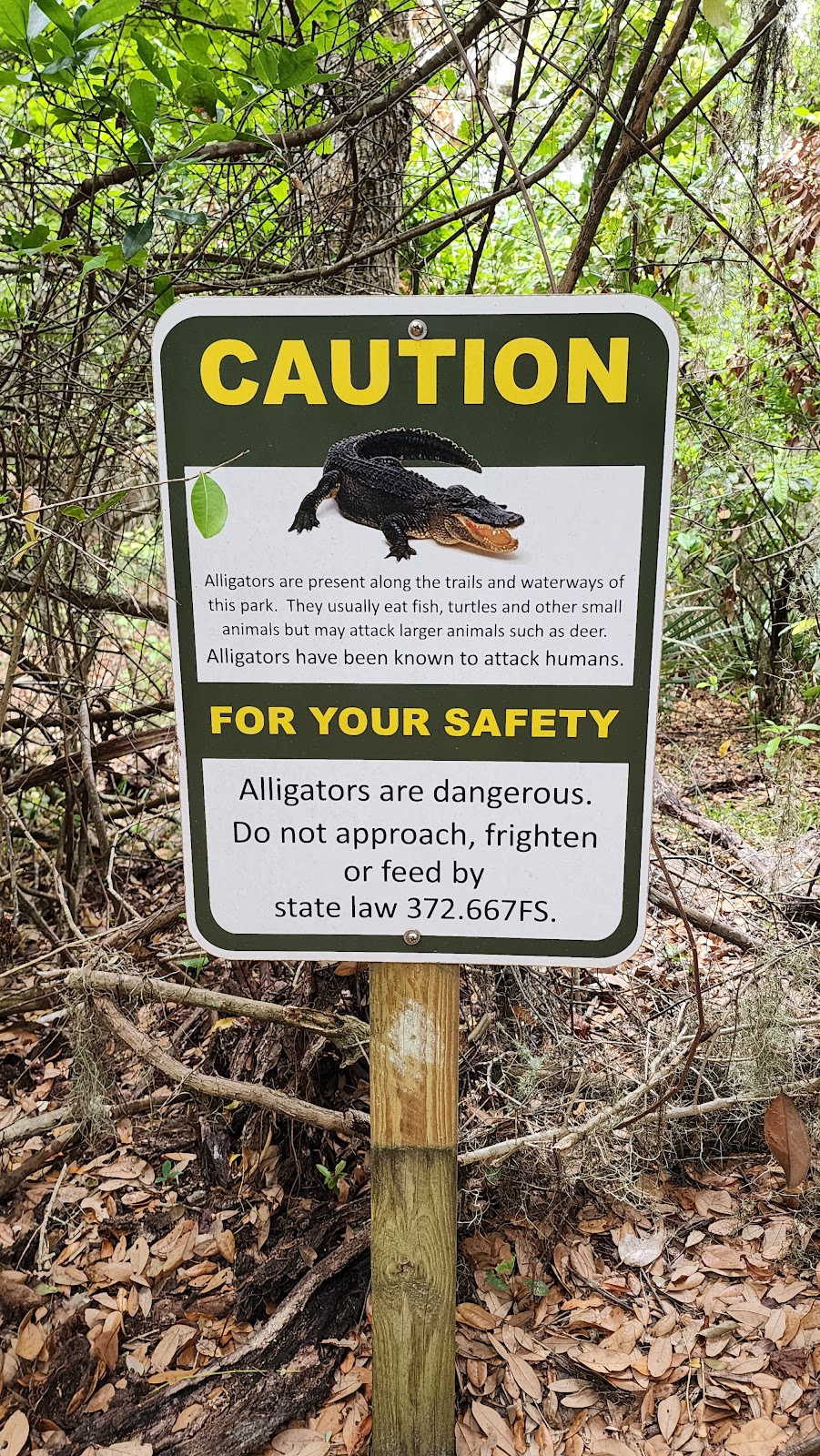 Willow Pond Nature Trail photo 7