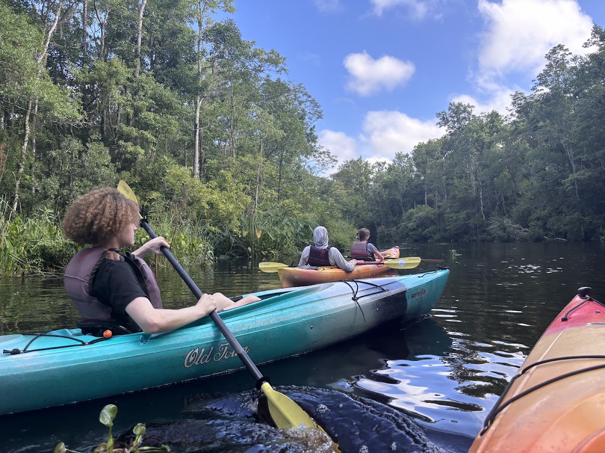 Amelia Adventures photo 2