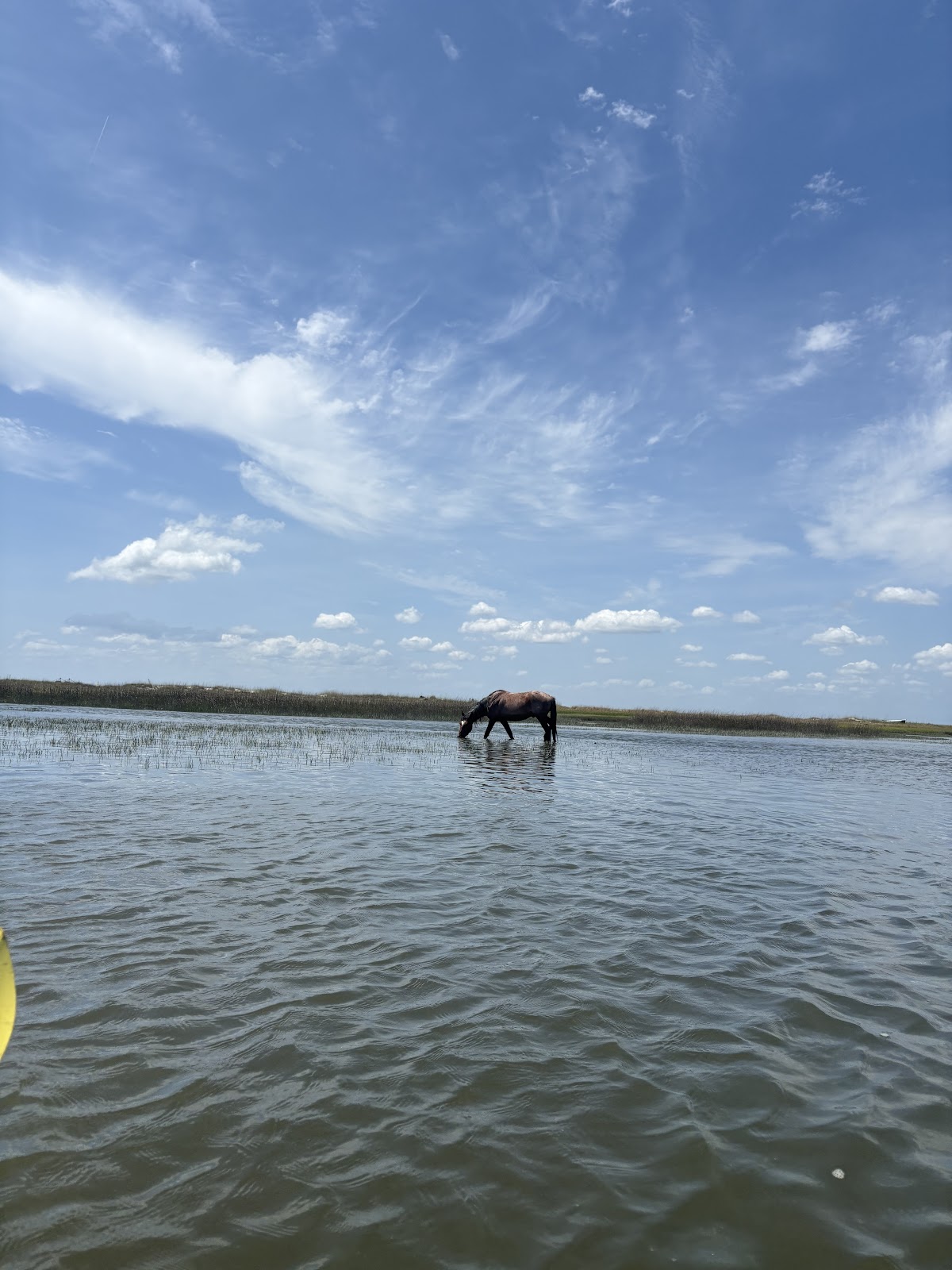 Amelia Adventures photo 3