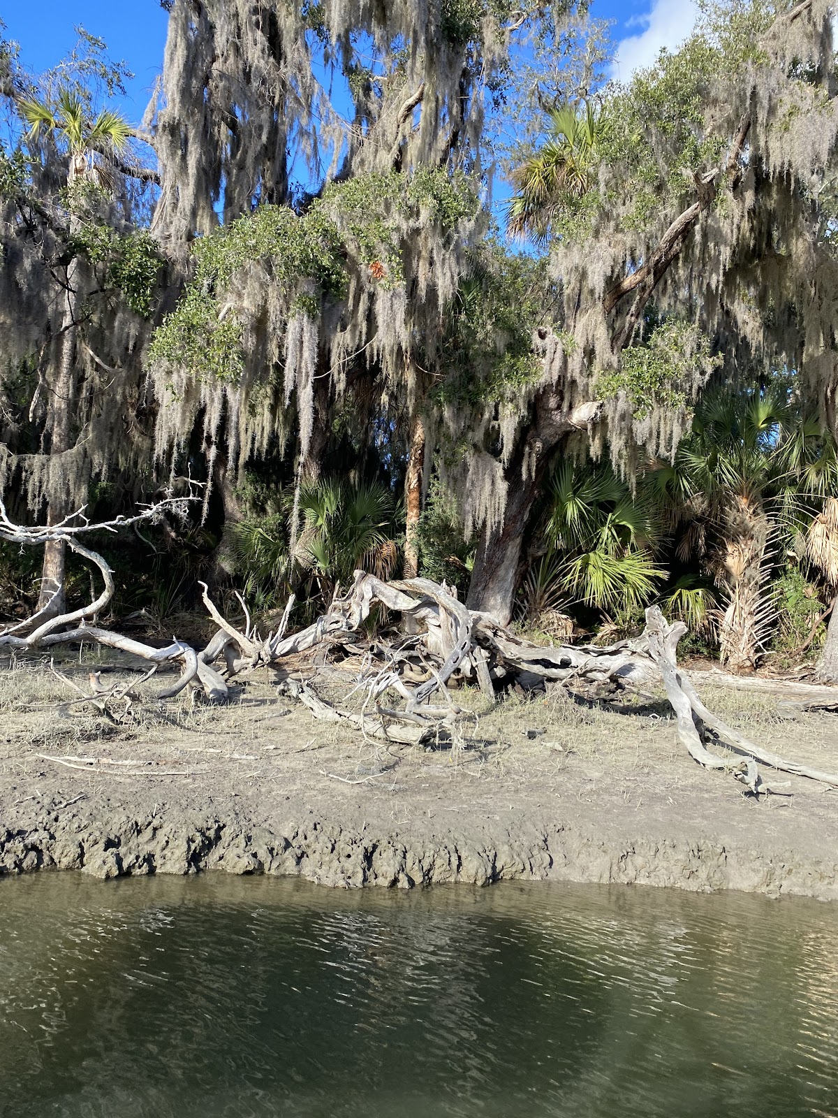 Amelia Adventures photo 6