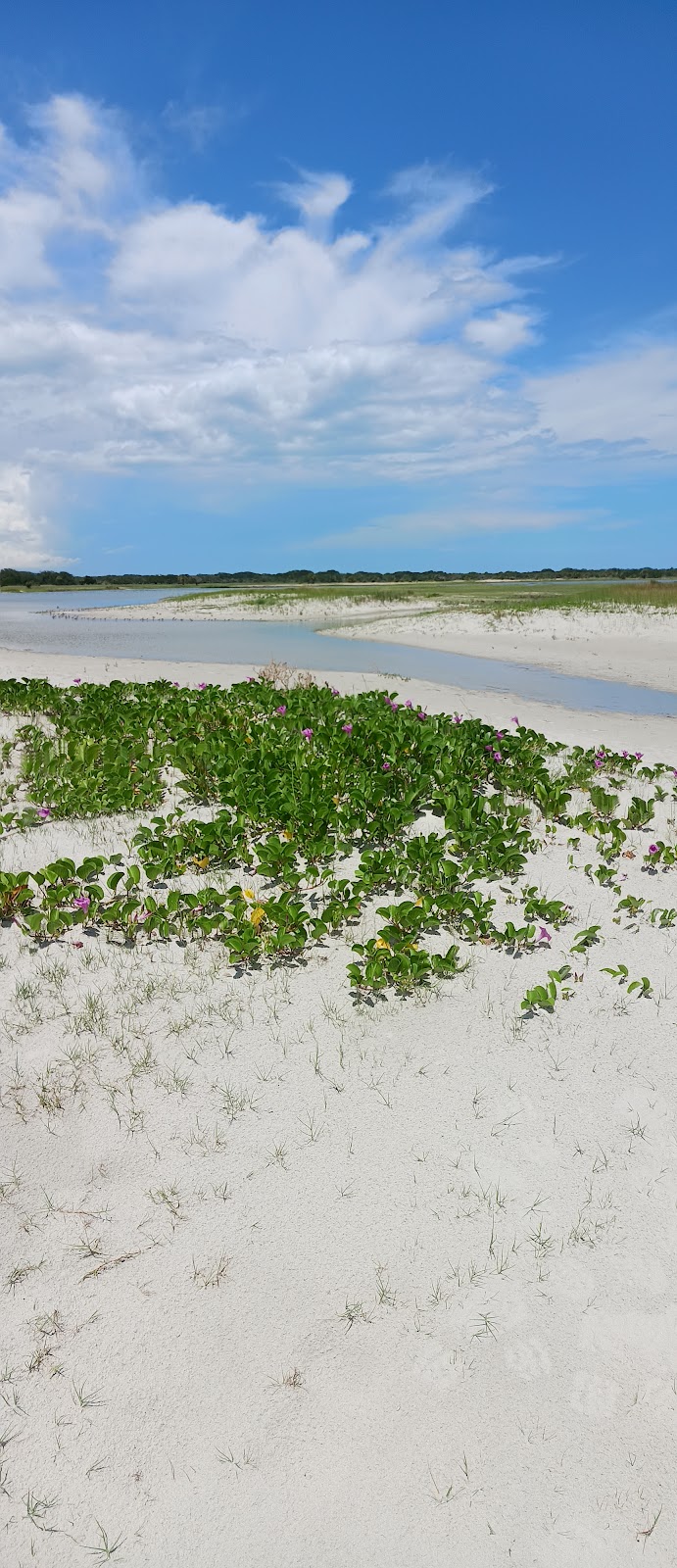 Amelia Adventures photo 9