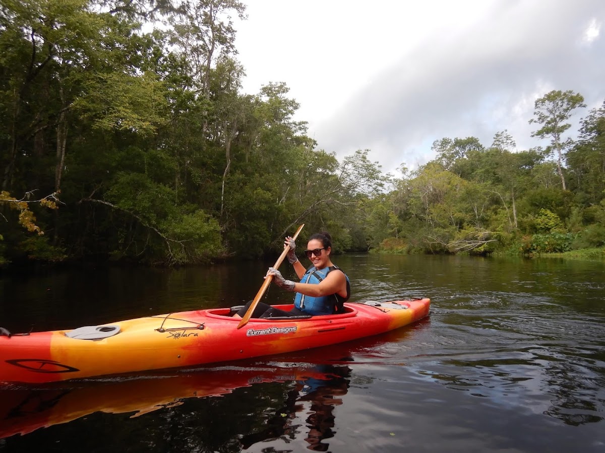 Amelia Island Kayak Excursions photo 2