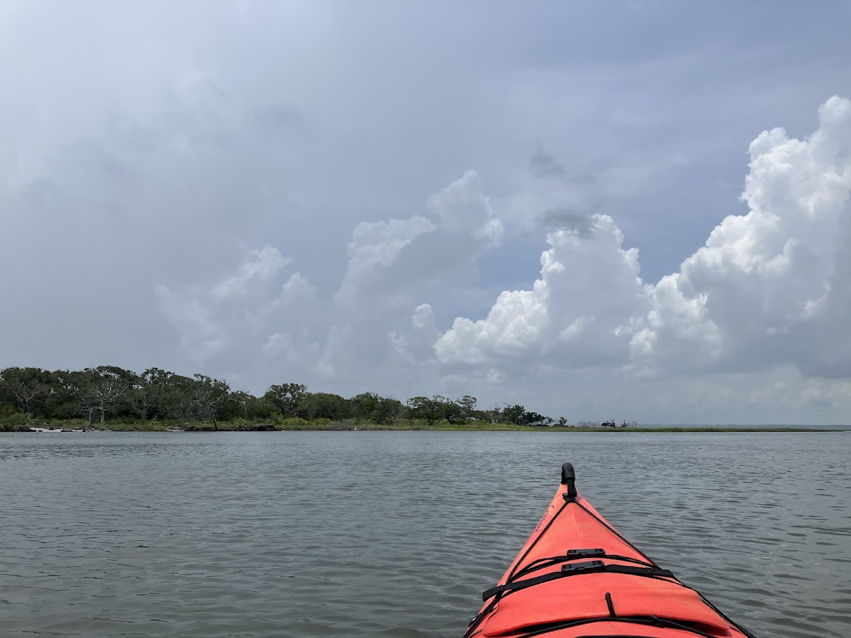 Amelia Island Kayak Excursions photo 3