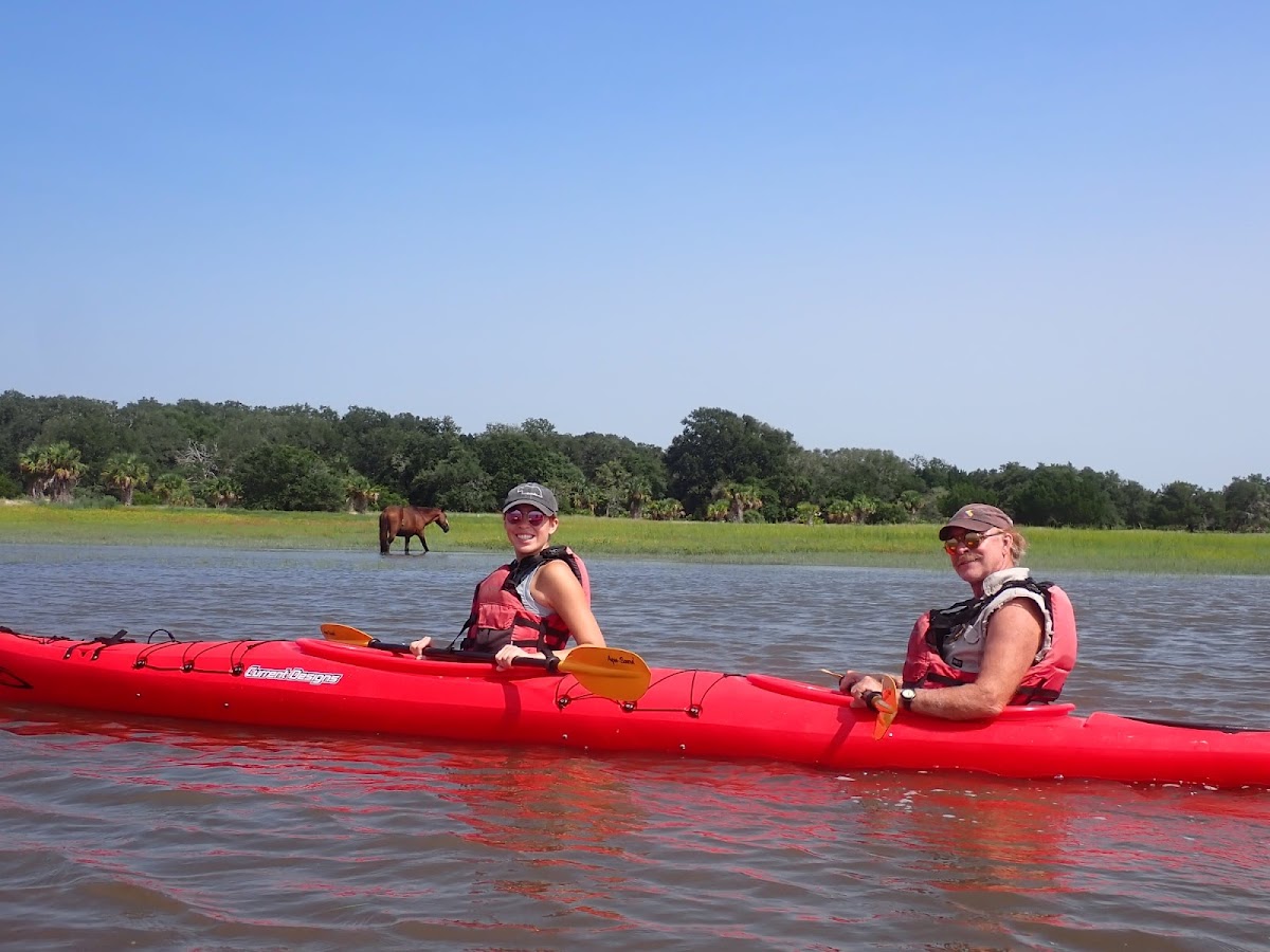 Amelia Island Kayak Excursions photo 4