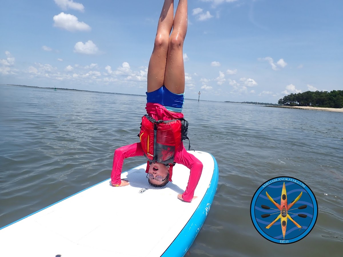 Amelia Island Kayak Excursions photo 7