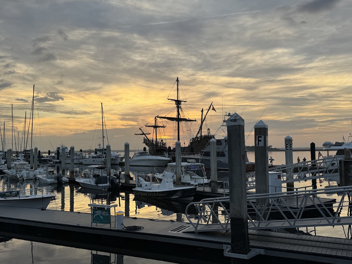 Cruisin Tikis Amelia Island photo 7
