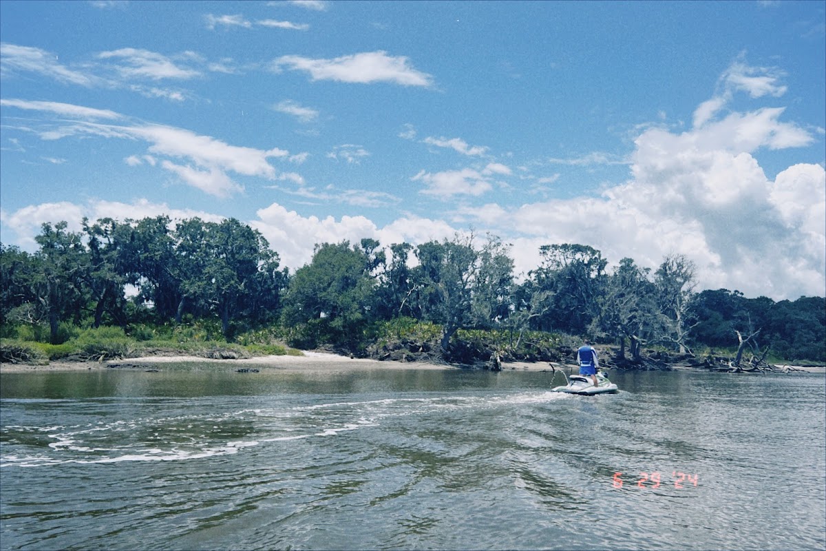 Evolution Jetsports (Jet Ski Eco Tours - Amelia Island) photo 10