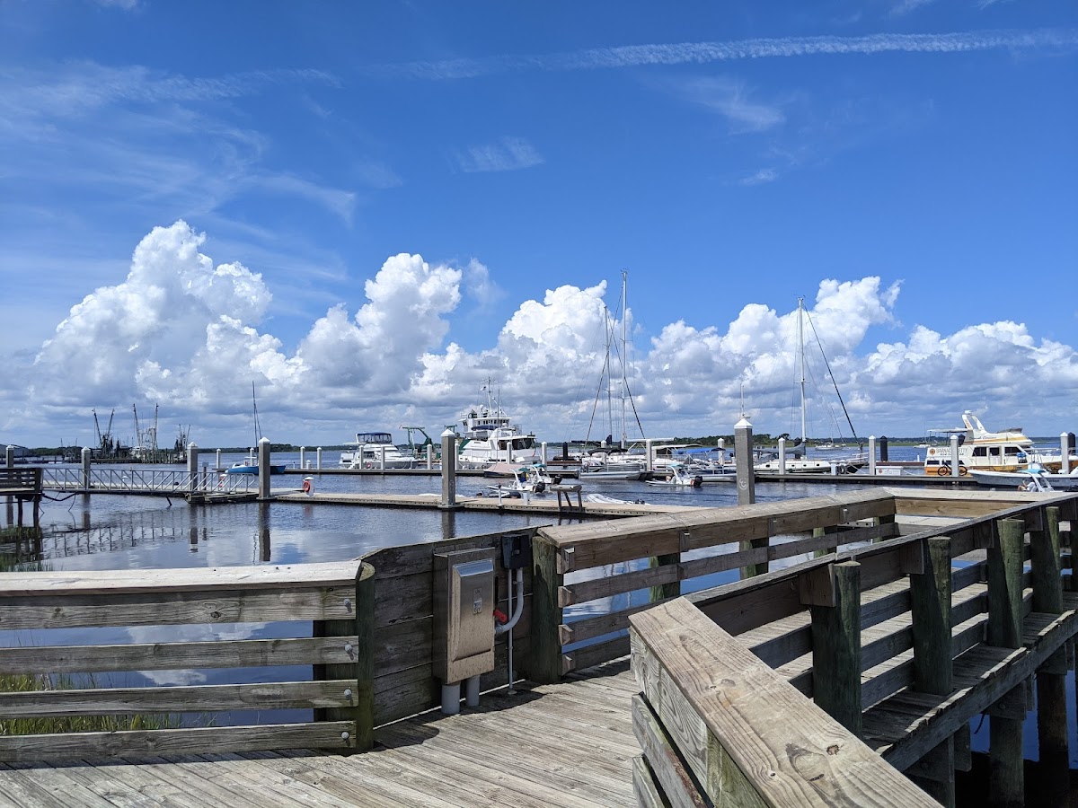 Fernandina Harbor Marina photo 3