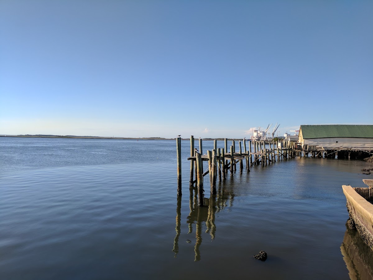 Fernandina Harbor Marina photo 7