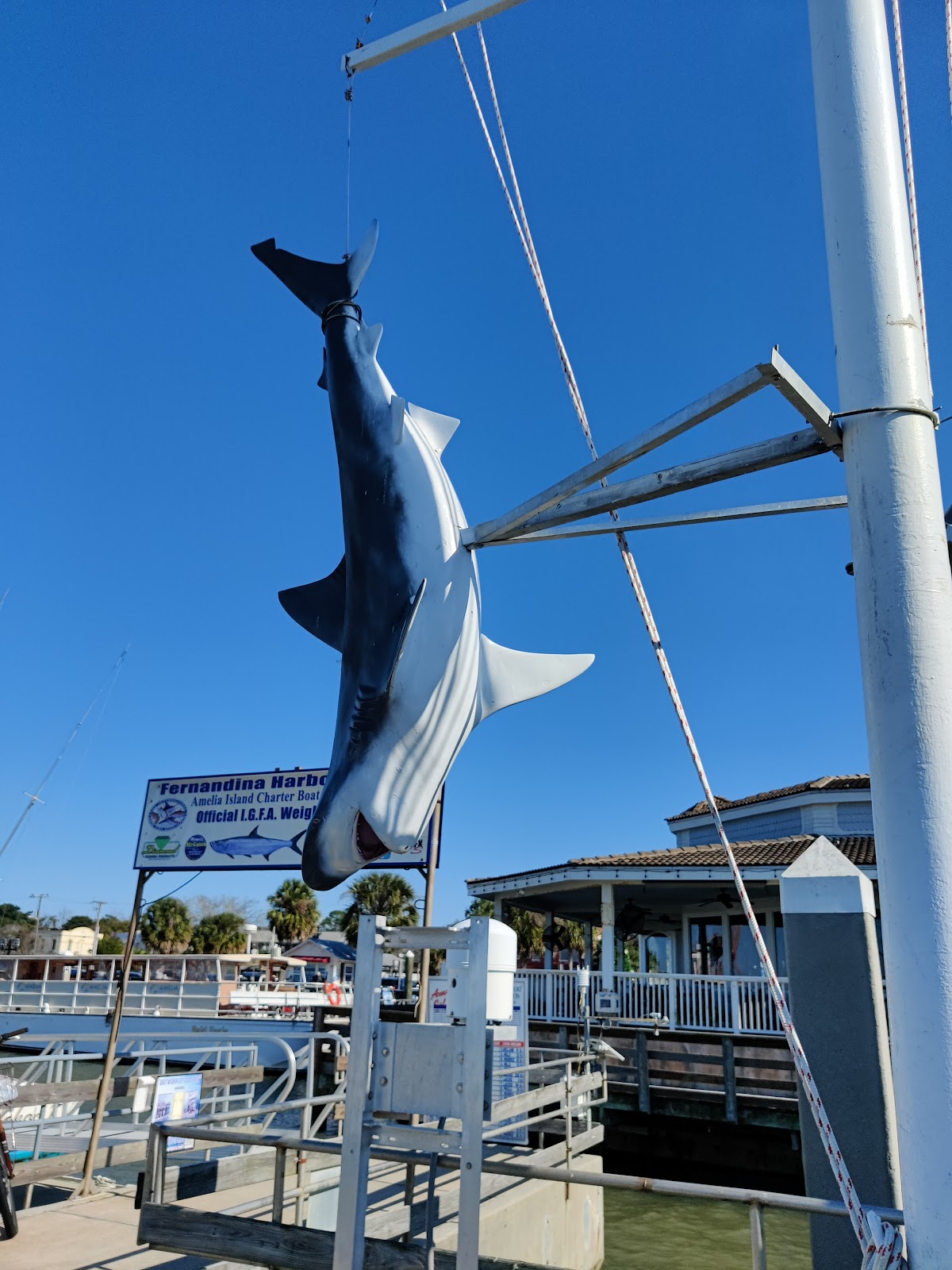 Fernandina Harbor Marina photo 9