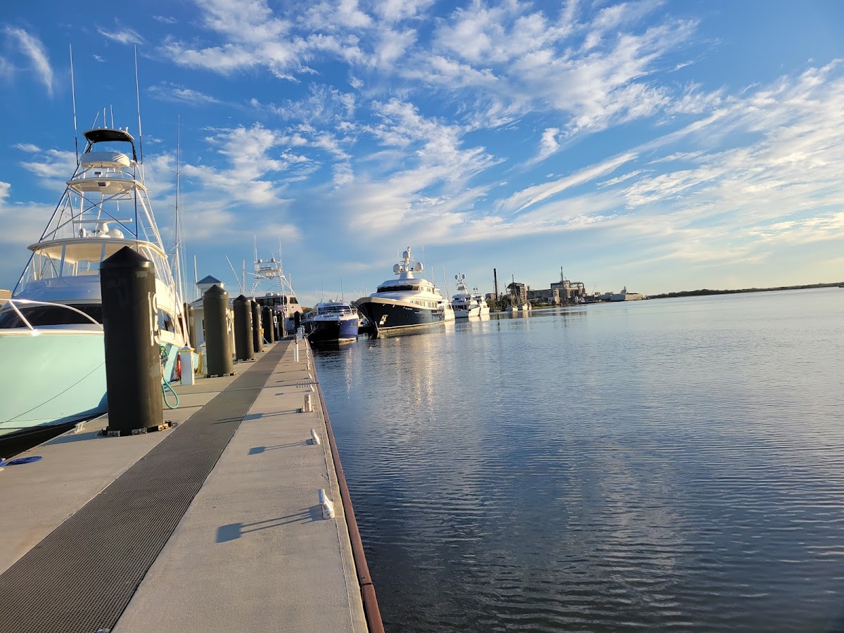Fernandina Harbor Marina photo 10