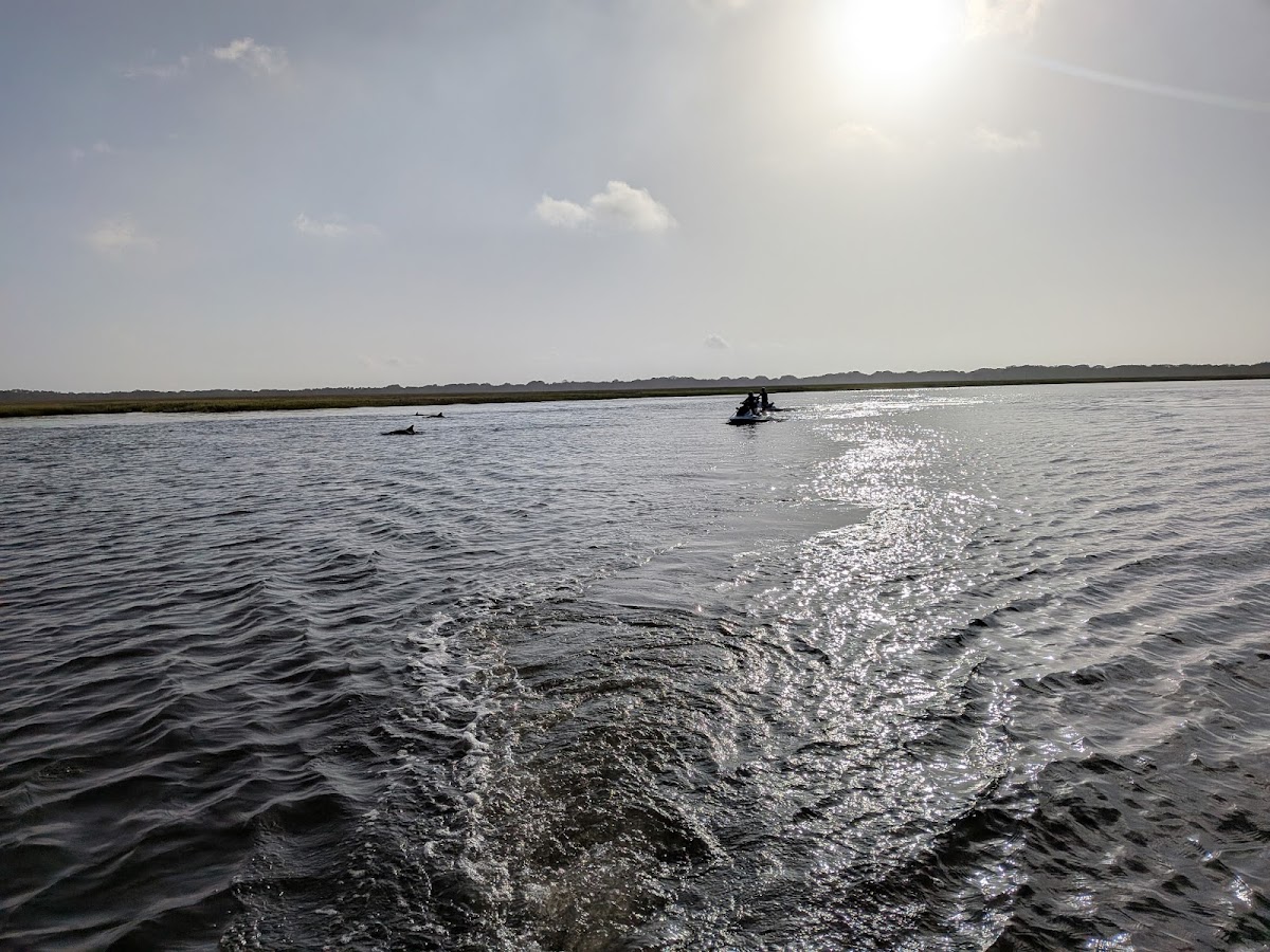 Jet Ski Amelia photo 4