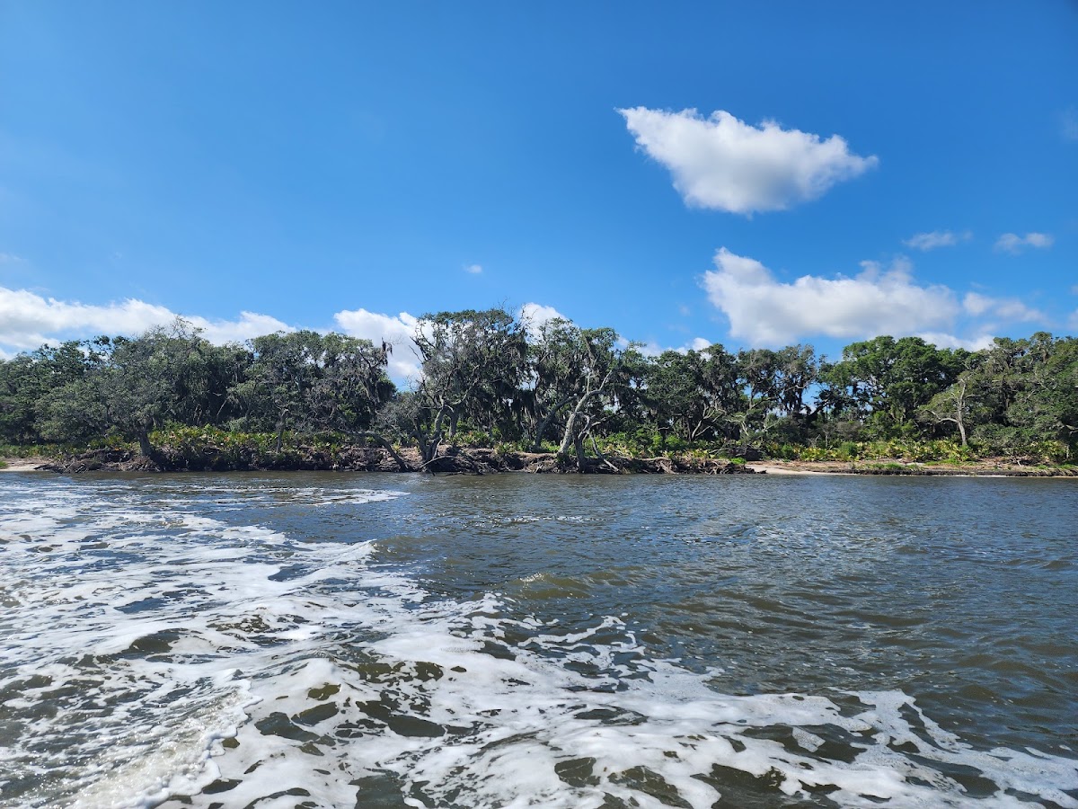 Jet Ski Amelia photo 6