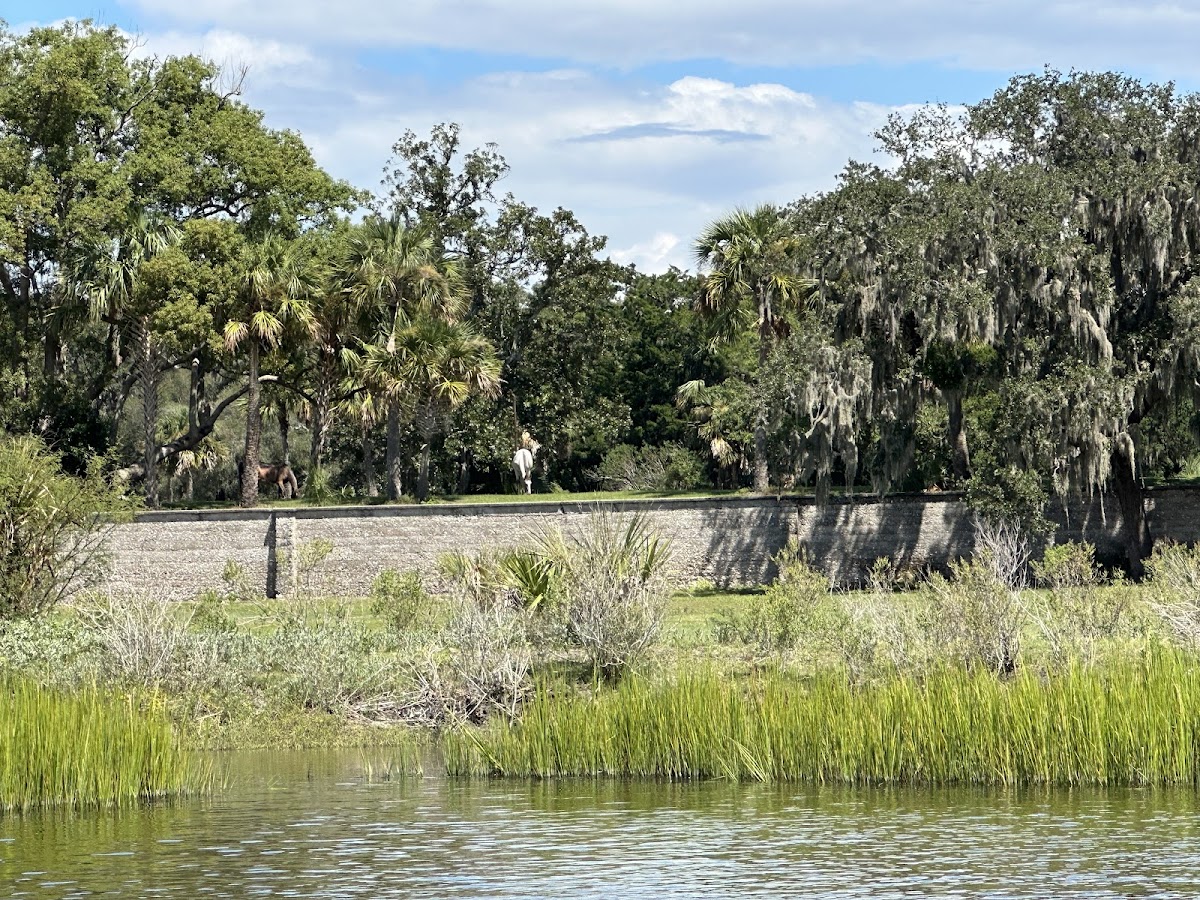Jet Ski Amelia photo 7