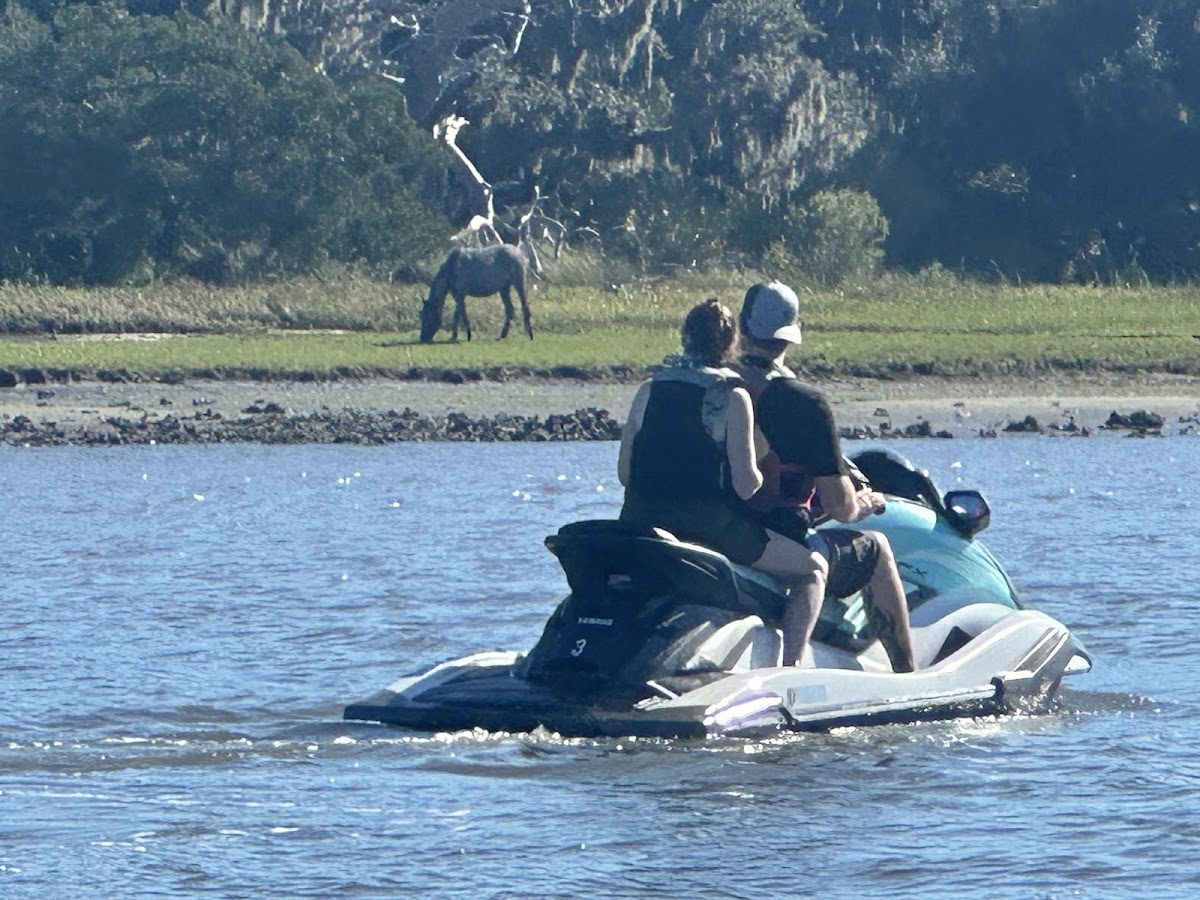 Jet Ski Amelia photo 9