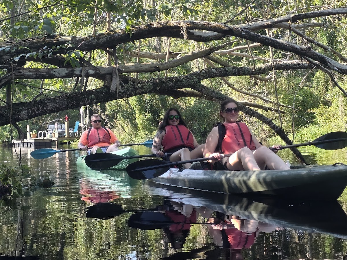 Paddle Jax Amelia photo 1