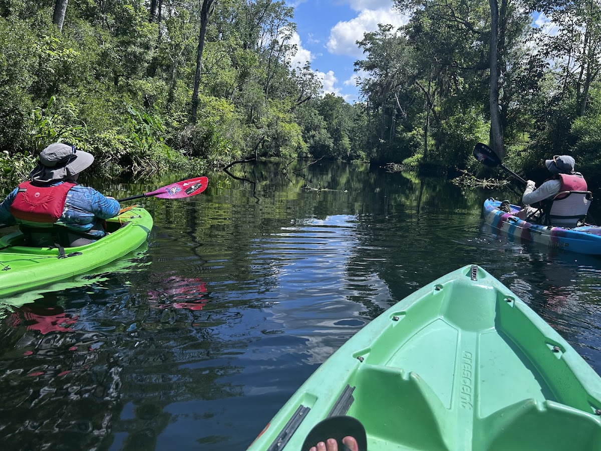 Paddle Jax Amelia photo 2