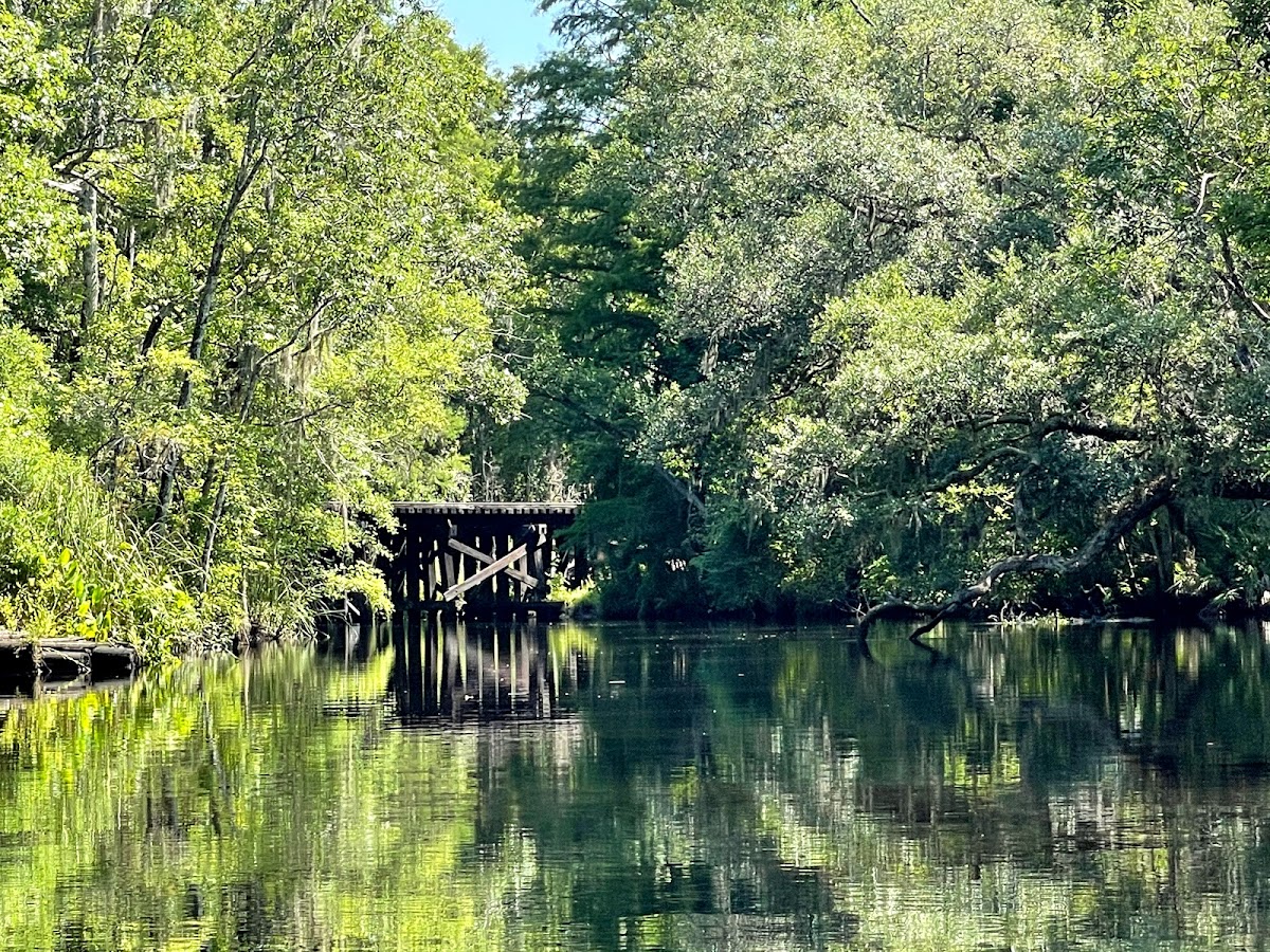 Paddle Jax Amelia photo 5