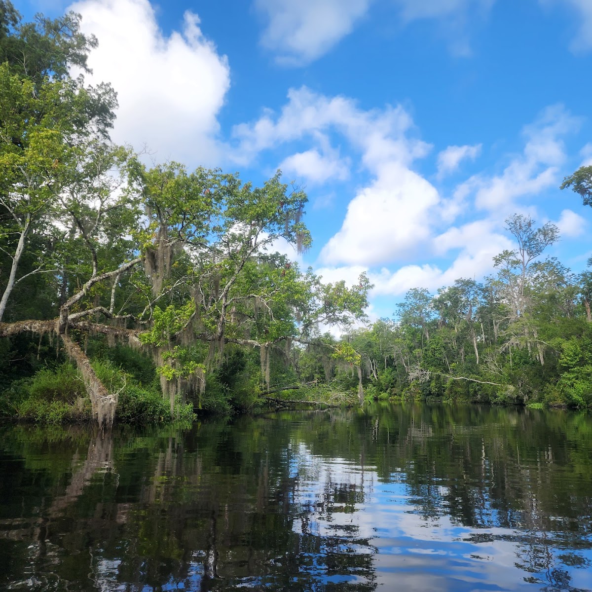 Paddle Jax Amelia photo 6