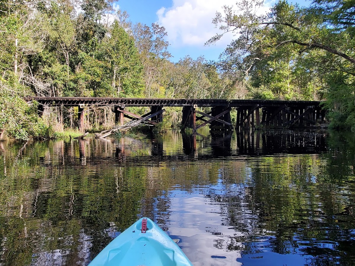 Paddle Jax Amelia photo 8