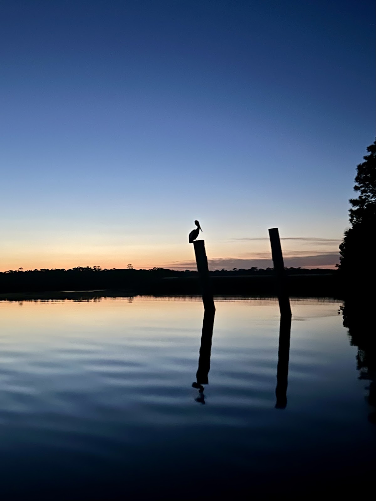 PADL - Amelia and Talbot Islands photo 8