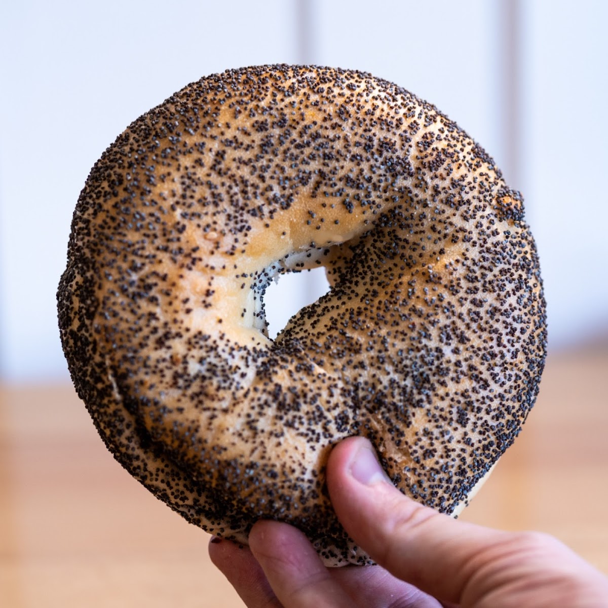 Aloha Bagel & Bakery photo 7