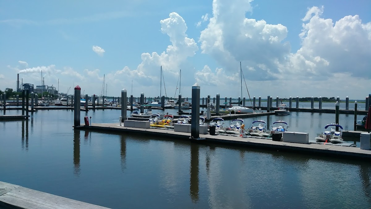 The Cinnamon Bear Country Store photo 4